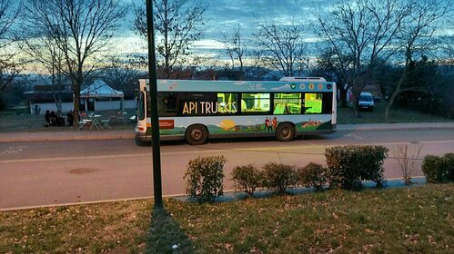 API truck's avec degustation et vente d'huitres