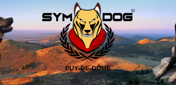 SYM DOG 63